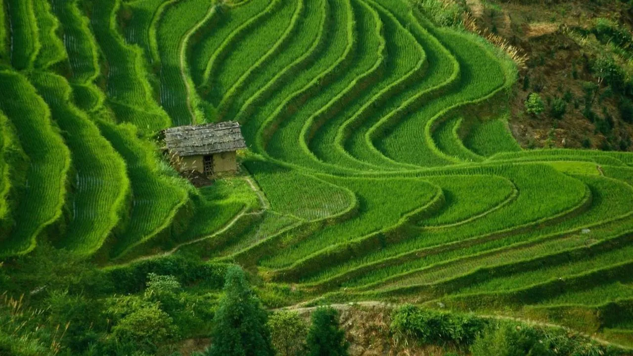 别墅 茉莉花庄园别墅 塞米亚克